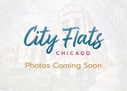 2 Bedrooms, The Loop Rental in Chicago, IL for $1,780 - Photo 1