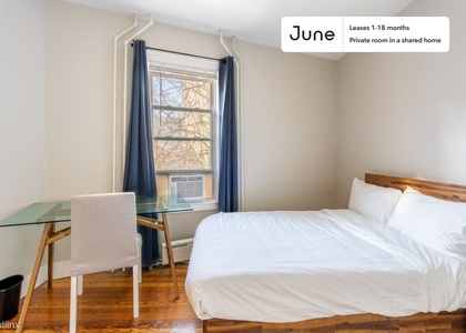 Room, Uphams Corner - Jones Hill Rental in Boston, MA for $1,350 - Photo 1