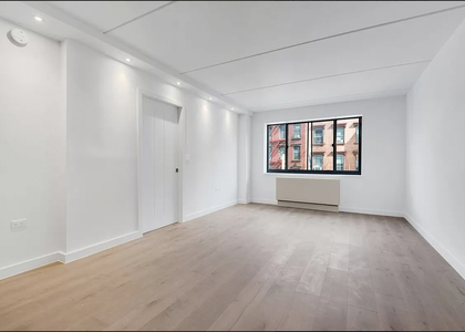 1 Bedroom, Two Bridges Rental in NYC for $4,400 - Photo 1