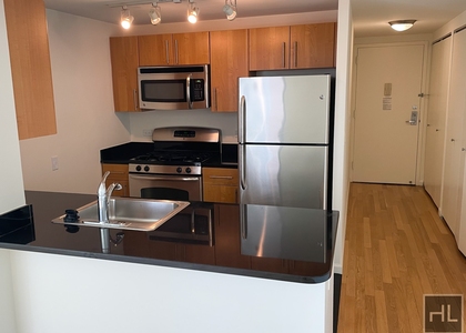 1 Bedroom, Hunters Point Rental in NYC for $5,043 - Photo 1