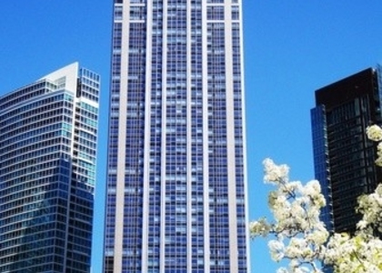 2 Bedrooms, Streeterville Rental in Chicago, IL for $3,200 - Photo 1