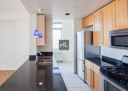 2 Bedrooms, Hunters Point Rental in NYC for $5,740 - Photo 1