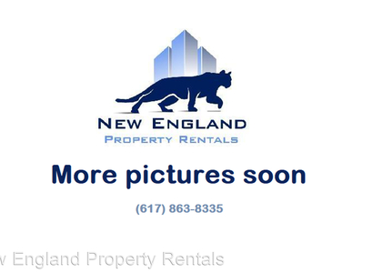 4 Bedrooms, South Common Rental in Boston, MA for $2,000 - Photo 1