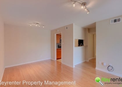 2 Bedrooms, South Lamar Rental in Austin-Round Rock Metro Area, TX for $1,595 - Photo 1