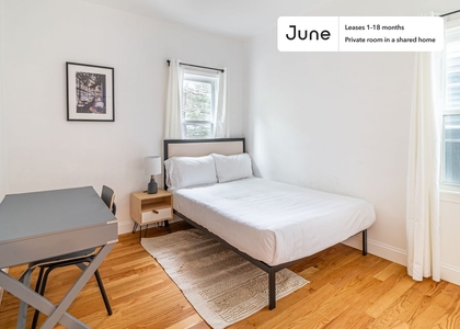 Room, East Somerville Rental in Boston, MA for $1,550 - Photo 1