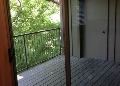 3 Bedrooms, Bouldin Creek Rental in Austin-Round Rock Metro Area, TX for $2,391 - Photo 1