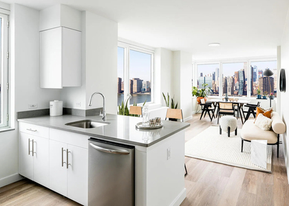 2 Bedrooms, Hunters Point Rental in NYC for $6,350 - Photo 1