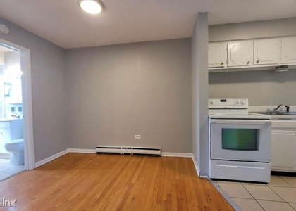 1 Bedroom, Oak Lawn Rental in Chicago, IL for $1,100 - Photo 1