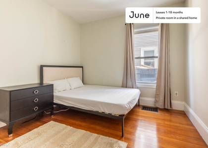 Room, Columbia Point Rental in Boston, MA for $1,175 - Photo 1