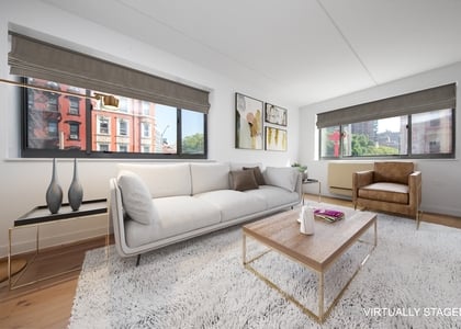 1 Bedroom, Two Bridges Rental in NYC for $4,650 - Photo 1