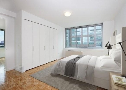 1 Bedroom, Hunters Point Rental in NYC for $4,300 - Photo 1
