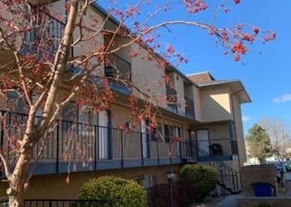 1 Bedroom, Convention Center Rental in Reno-Sparks, NV for $1,350 - Photo 1