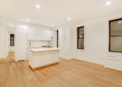2 Bedrooms, Crown Heights Rental in NYC for $3,195 - Photo 1