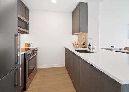 1 Bedroom, Prospect Heights Rental in NYC for $5,425 - Photo 1