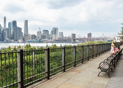 1 Bedroom, Brooklyn Heights Rental in NYC for $3,769 - Photo 1