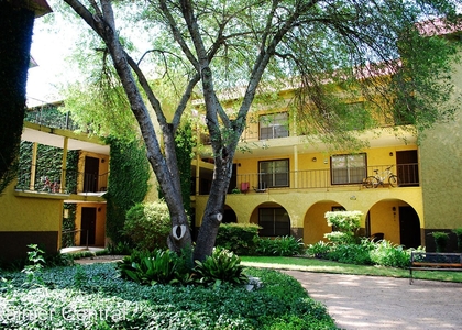 1 Bedroom, Allandale Rental in Austin-Round Rock Metro Area, TX for $1,253 - Photo 1