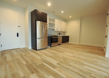 2 Bedrooms, Flatbush Rental in NYC for $3,400 - Photo 1