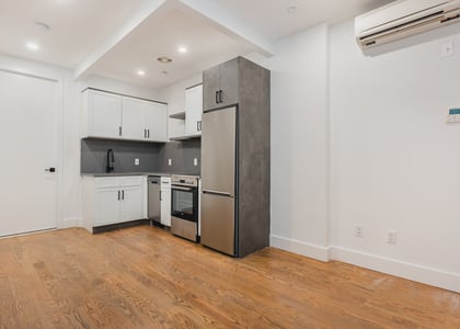 2 Bedrooms, Flatbush Rental in NYC for $3,300 - Photo 1