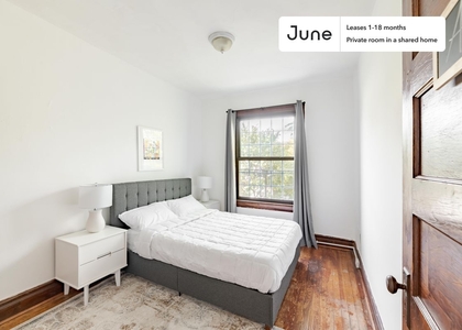 Room, Columbia Heights Rental in Washington, DC for $1,225 - Photo 1