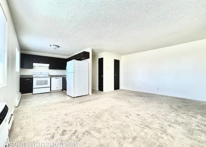 1 Bedroom, Eiber Rental in Denver, CO for $1,100 - Photo 1
