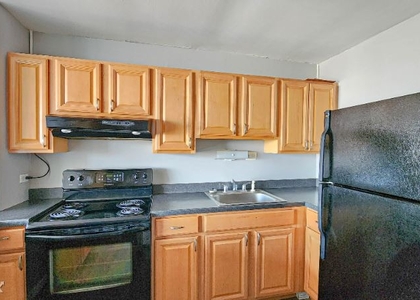 1 Bedroom, Edgewater Beach Rental in Chicago, IL for $1,400 - Photo 1