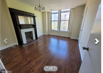 3 Bedrooms, East Ukrainian Village Rental in Chicago, IL for $2,400 - Photo 1