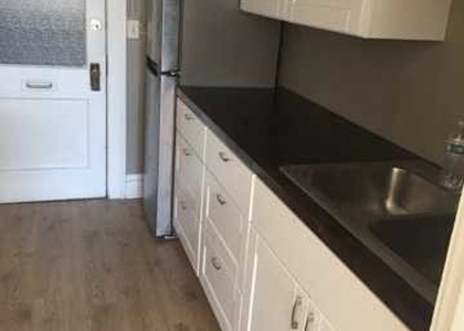 1 Bedroom, Lyons Rental in Chicago, IL for $1,100 - Photo 1
