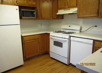 3 Bedrooms, Hometown Rental in Chicago, IL for $1,590 - Photo 1