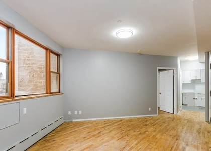 2 Bedrooms, Greenpoint Rental in NYC for $3,000 - Photo 1