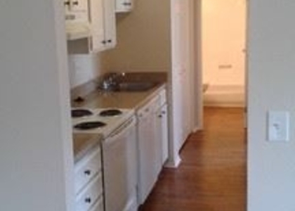 1 Bedroom, Arapahoe Rental in Denver, CO for $1,200 - Photo 1