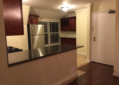 2 Bedrooms, Essex Rental in NYC for $2,450 - Photo 1