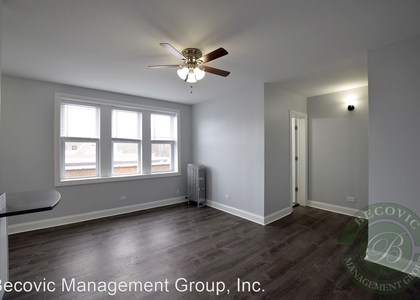 Studio, Rogers Park Rental in Chicago, IL for $1,195 - Photo 1