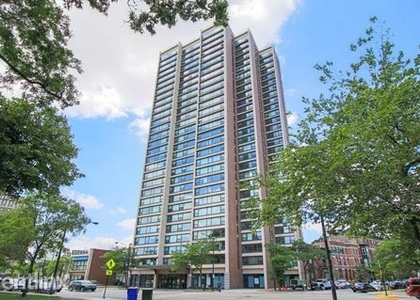 1 Bedroom, Old Town Triangle Rental in Chicago, IL for $2,195 - Photo 1