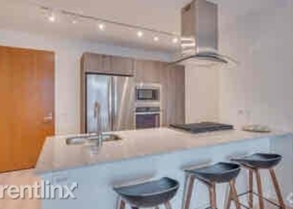 2 Bedrooms, Streeterville Rental in Chicago, IL for $4,000 - Photo 1