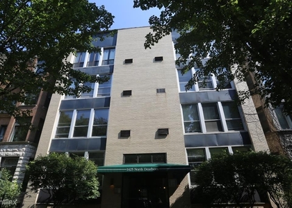 1 Bedroom, Gold Coast Rental in Chicago, IL for $1,895 - Photo 1