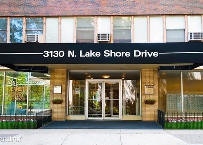 3130 N Lake Shore Dr - Photo 1