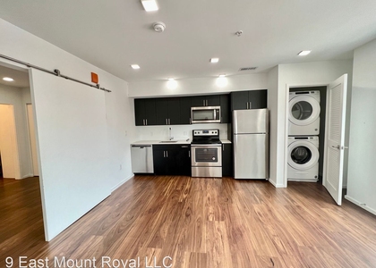 9 E. Mt. Royal Avenue - Photo 1