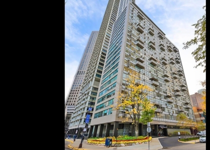 1000 N Lake Shore Drive - Photo 1