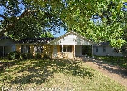 1321 Jane Eyre Street - Photo 1