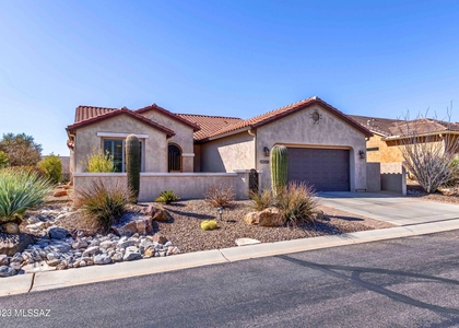 32414 S Desert Pupfish Drive - Photo 1