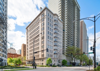 1200 N Lake Shore Drive - Photo 1