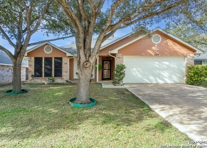 7809 Forest Path - Photo 1