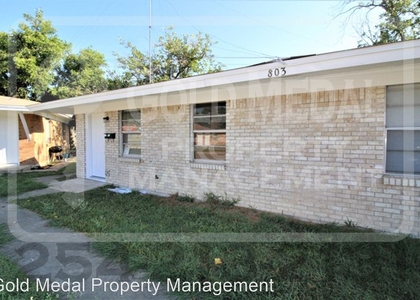 803 Pecan Circle - Photo 1