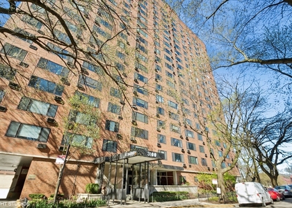 3100 N Lake Shore Drive - Photo 1