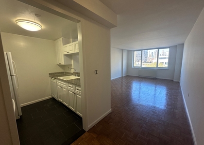 350 West 43rd Street - Photo 1