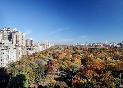 Central Park South - Photo 1