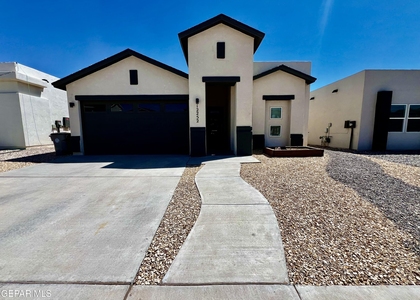 12252 Desert Dove Avenue - Photo 1