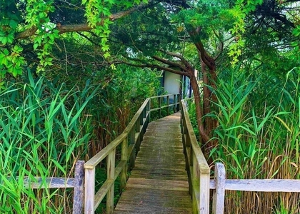 30 Gale Walk - Photo 1