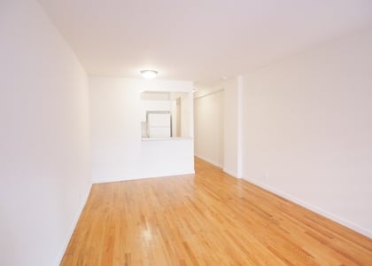 225 East 85th Street - Photo 1