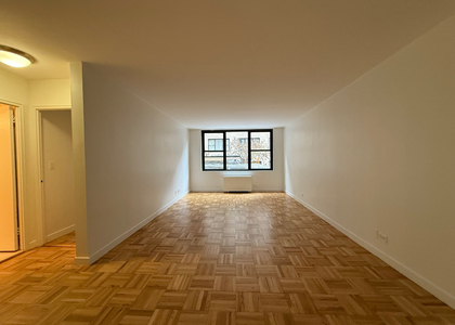 333 East 49th Street - Photo 1